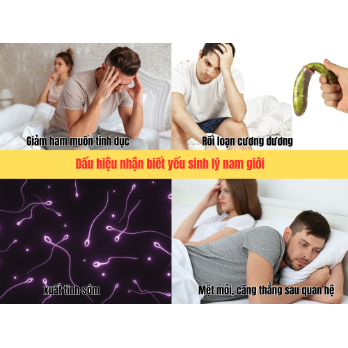 1. Suy giảm nội tiết tố nam (Testosterone)