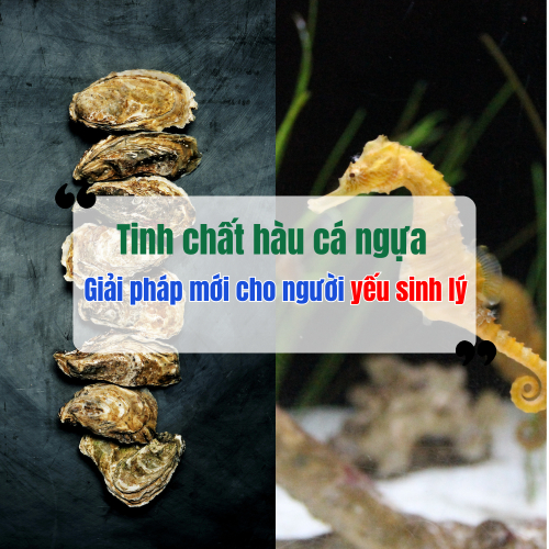 Tinh Chất Hàu Cá Ngựa - Giải Pháp Mới Cho Người Yếu Sinh Lý