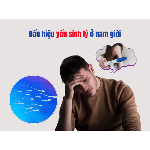 Dấu hiệu yếu sinh lý ở nam giới
