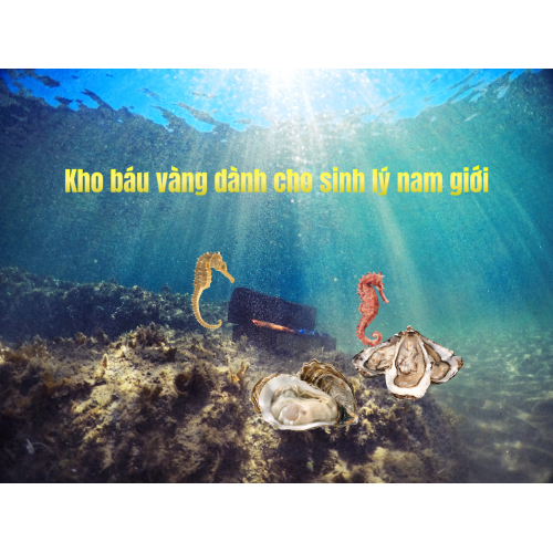 Hàu biển – cá ngựa: Bộ đôi vàng cho sinh lý nam giới
