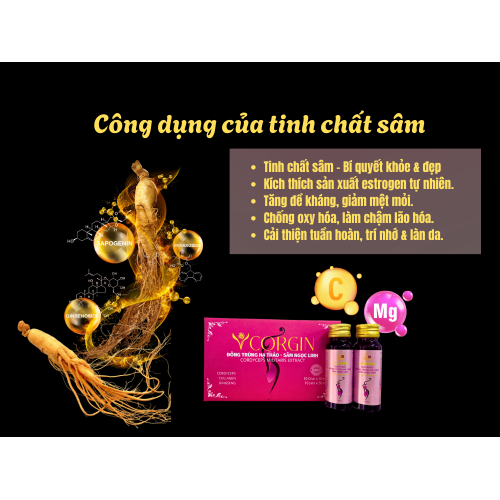 2. Tinh chất sâm – “trợ thủ” cân bằng nội tiết tố nữ