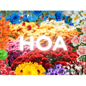 Xe Hoa Là Gì? Ý Nghĩa Hoa Mỹ Của Xe Hoa