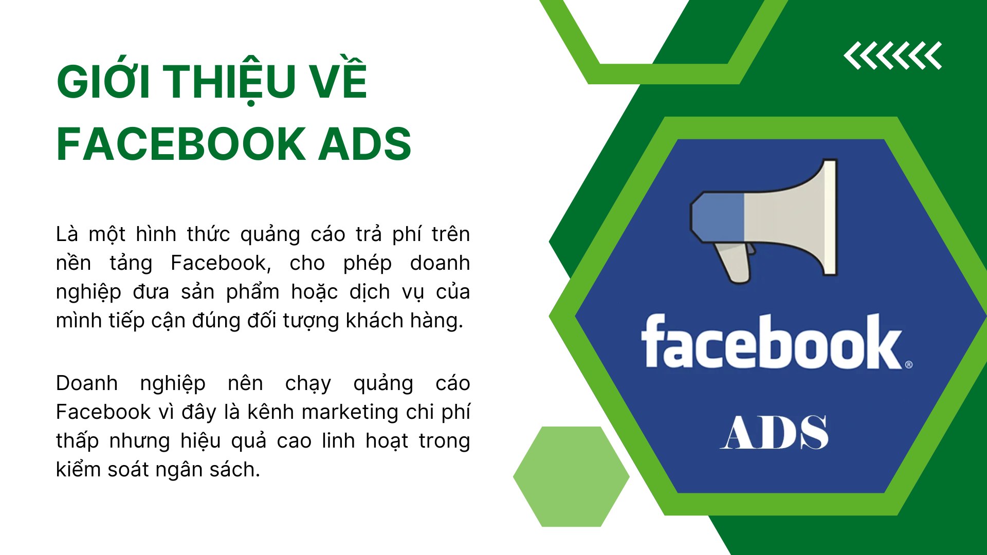 1. Giới thiệu về Facebook Ads