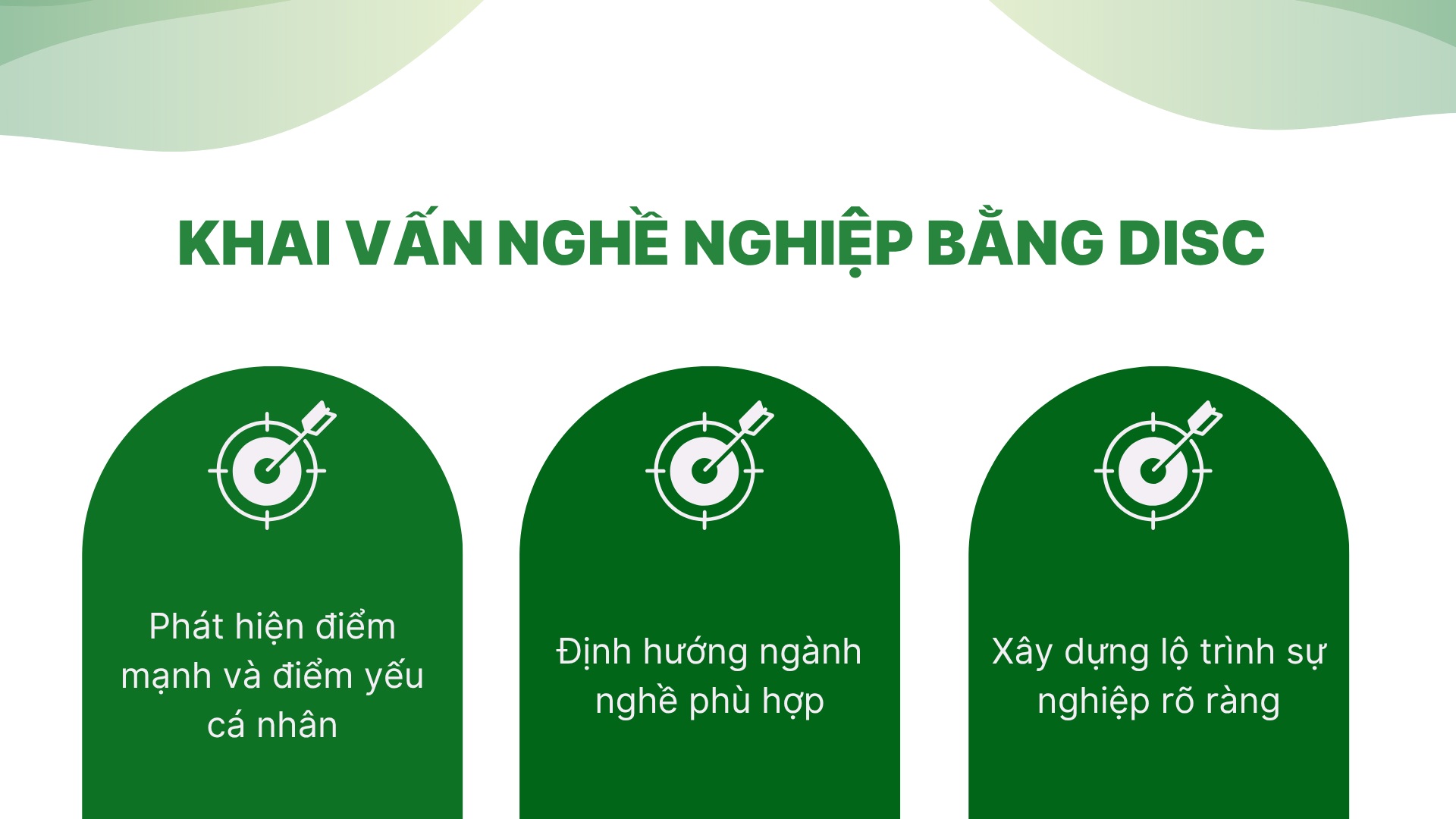 2. Giải pháp khai vấn nghề nghiệp bằng DISC