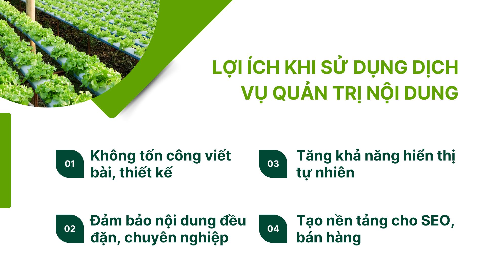 3. Lợi ích khi sử dụng dịch vụ quản trị nội dung