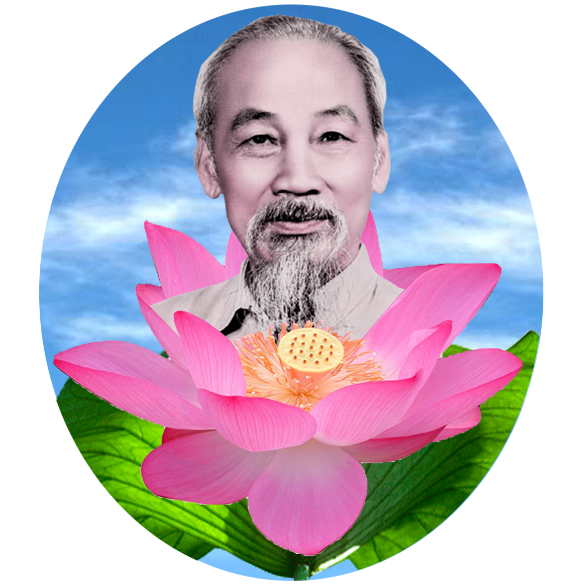 Lịch sử