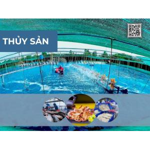 Gian Hàng Số Tỉnh An Giang Tại VNIS2025 | Triển Lãm Kết Nối Chuỗi Cung Ứng Quốc Tế