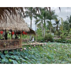 Rừng Nam Farm