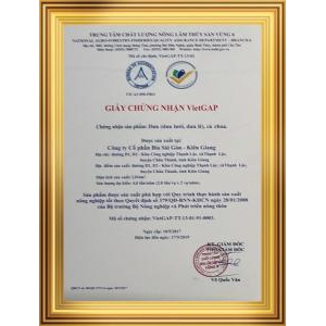 Công Ty Cổ Phần Bia Sài Gòn – Kiên Giang
