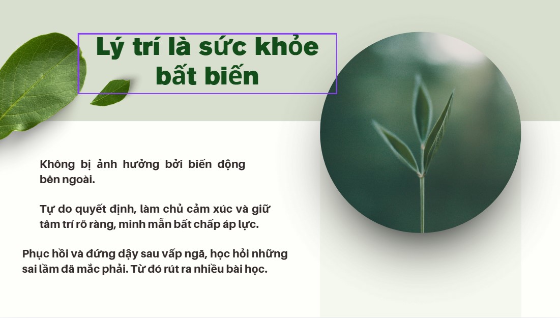2. Lý trí là sức khỏe bất biến
