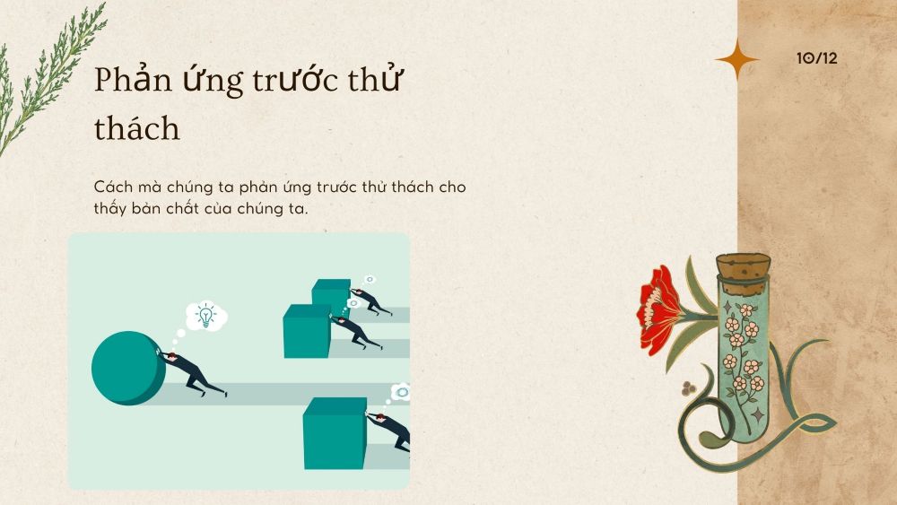 3. Phản ứng trước thử thách