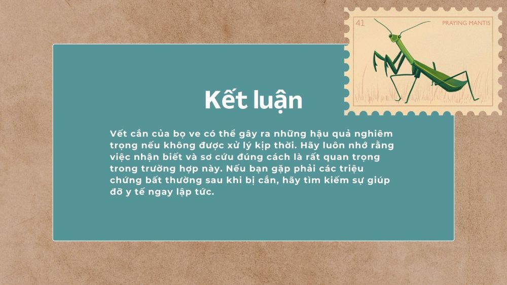 3. Kết luận