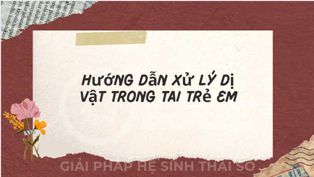Sơ Cứu Ban Đầu Cho Trẻ Sơ Sinh Và Trẻ Em - Dị Vật Trong Tai