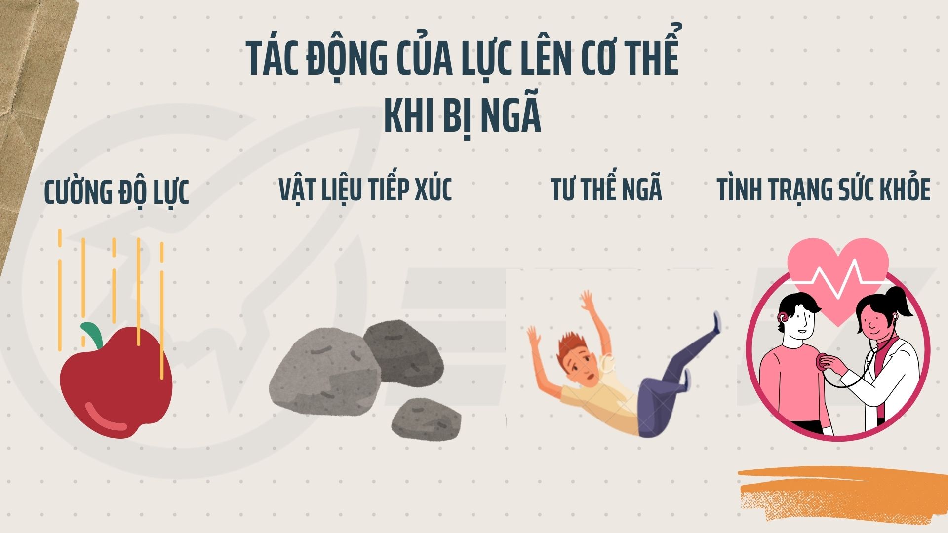 4. Tác động của lực lên cơ thể khi bị ngã: