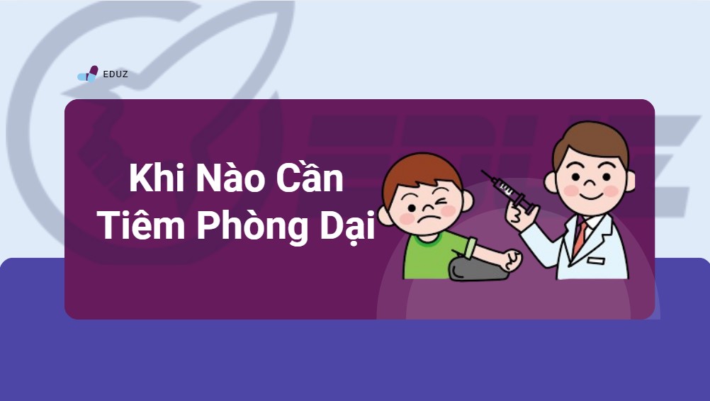 3 Phút Sơ Cứu - Khi Nào Cần Tiêm Phòng Dại ?