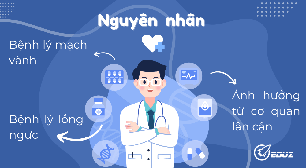 3. Nguyên nhân