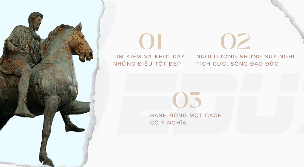 3. Nội dung