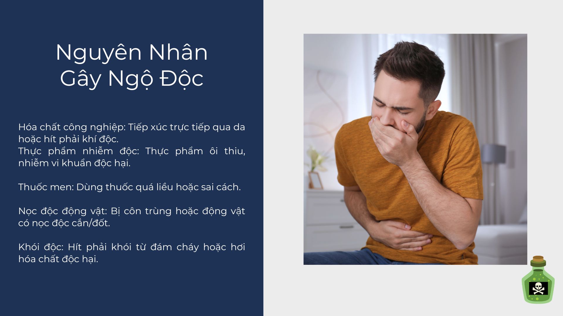 3. Nguyên Nhân Gây Ngộ Độc