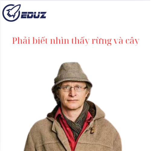 Phải Nhìn Thấy Rừng Và Cây