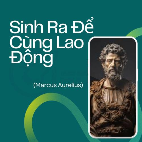 Sinh Ra Để Cùng Lao Động ( Marcus Aurelius)