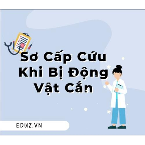 3 Phút Sơ Cứu - Sơ Cấp Cứu Khi Bị Động Vật Cắn