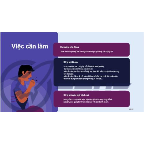 3.	Những việc bạn cần làm