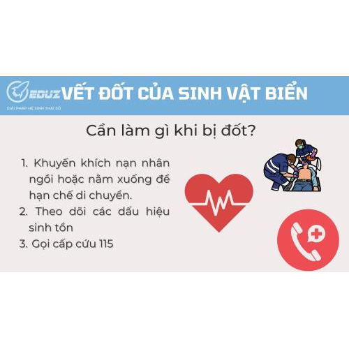 2. Cần làm gì khi bị đốt?