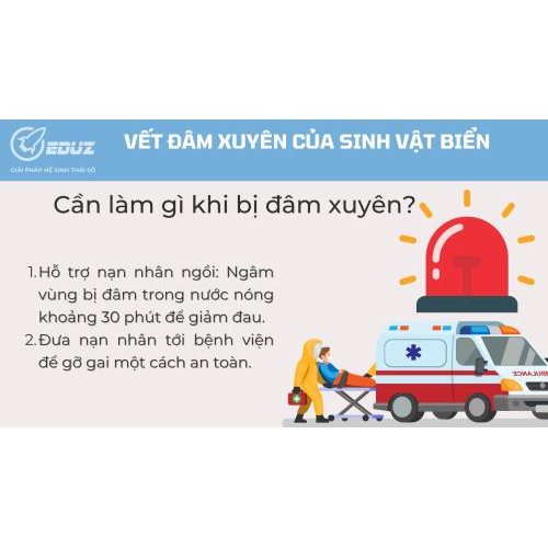 3. Cần làm gì khi bị đâm xuyên?