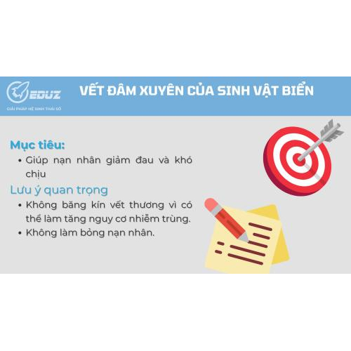 4. Mục tiêu và lưu ý quan trọng: