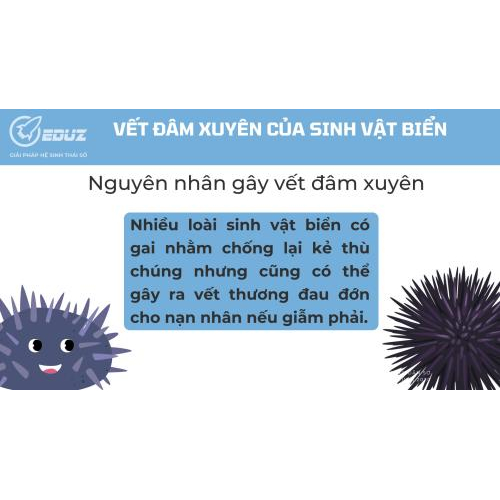 1. Nguyên nhân gây vết đâm xuyên:
