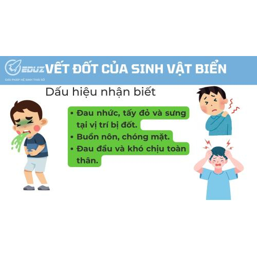 3. Dấu hiệu nhận biết: