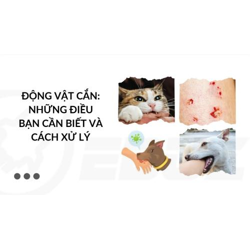 3 Phút Sơ Cứu: ĐỘNG VẬT CẮN: NHỮNG ĐIỀU BẠN CẦN BIẾT VÀ CÁCH XỬ LÝ