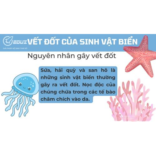 1. Nguyên nhân gây vết đốt: