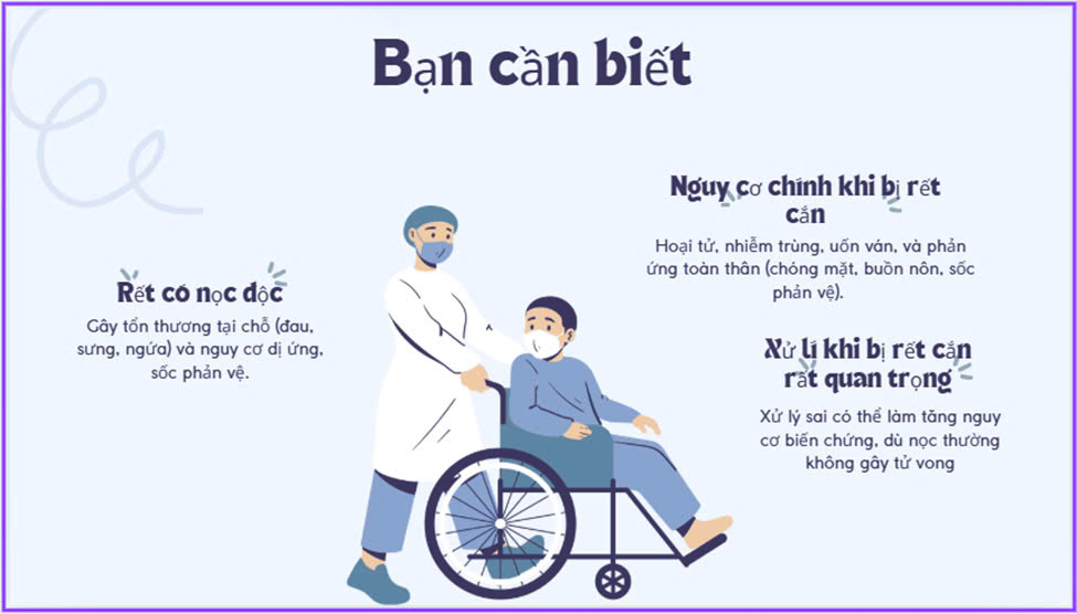 1. Đặt vấn đề.