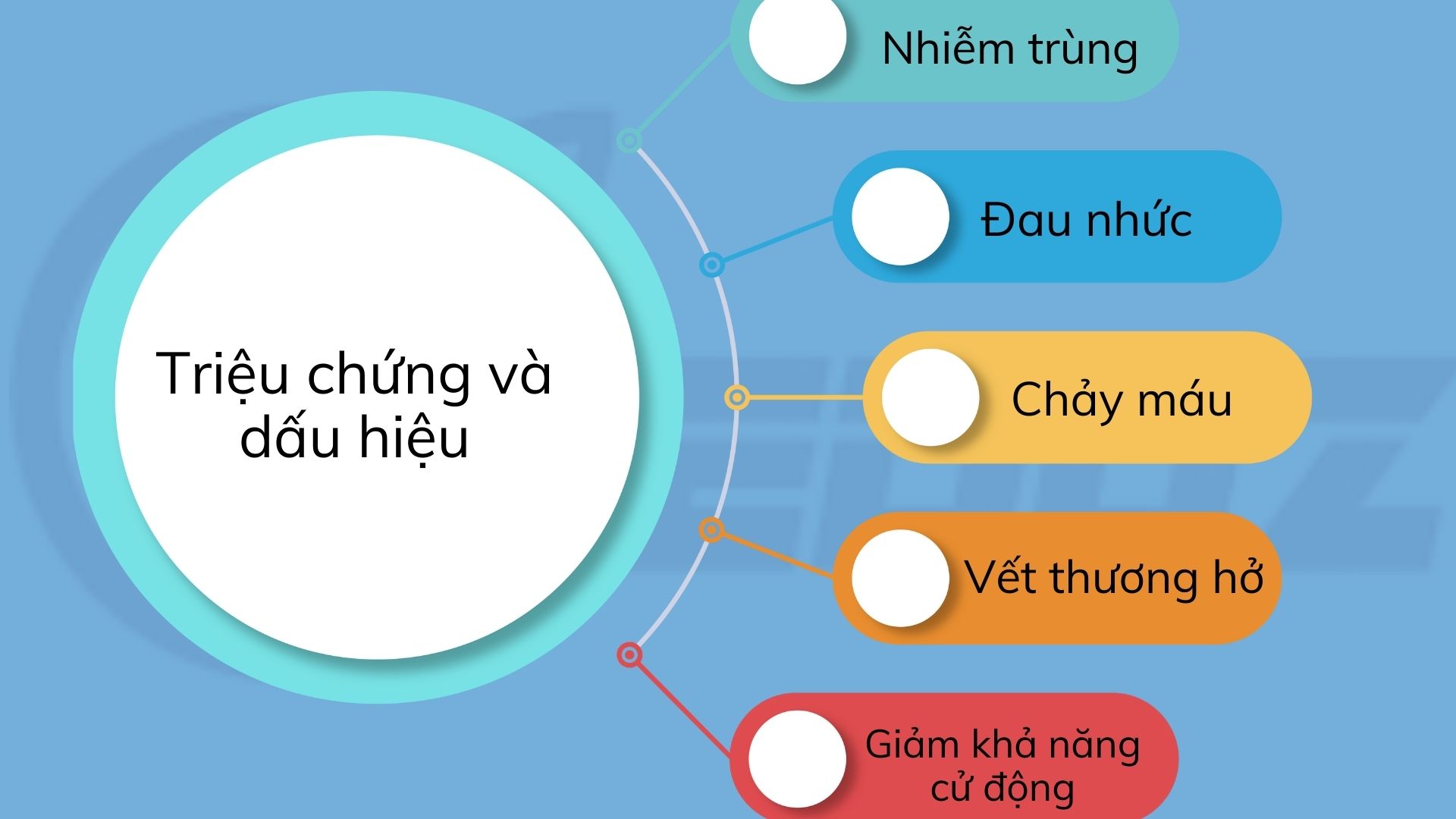 4.Triệu chứng và dấu hiệu