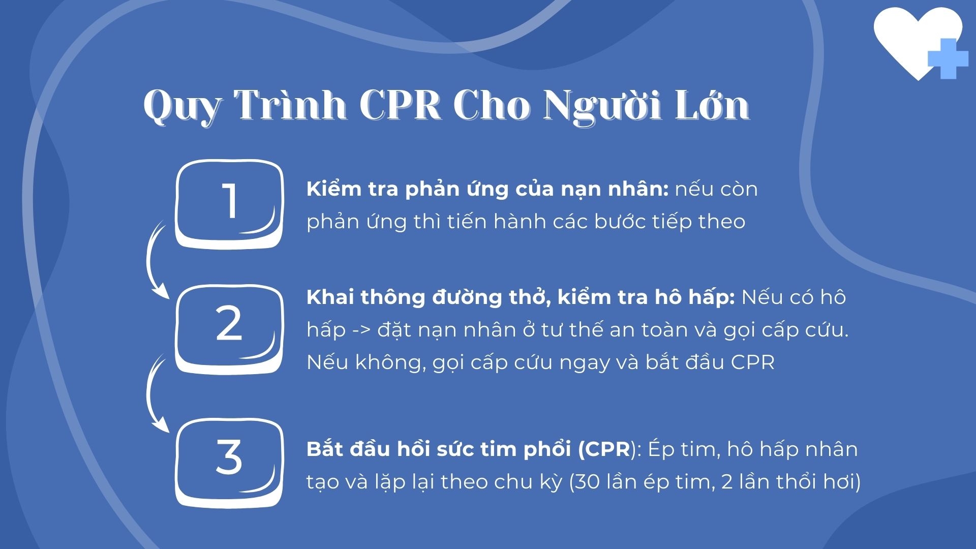 1. Sơ Cấp Cứu và CPR Cho Người Lớn