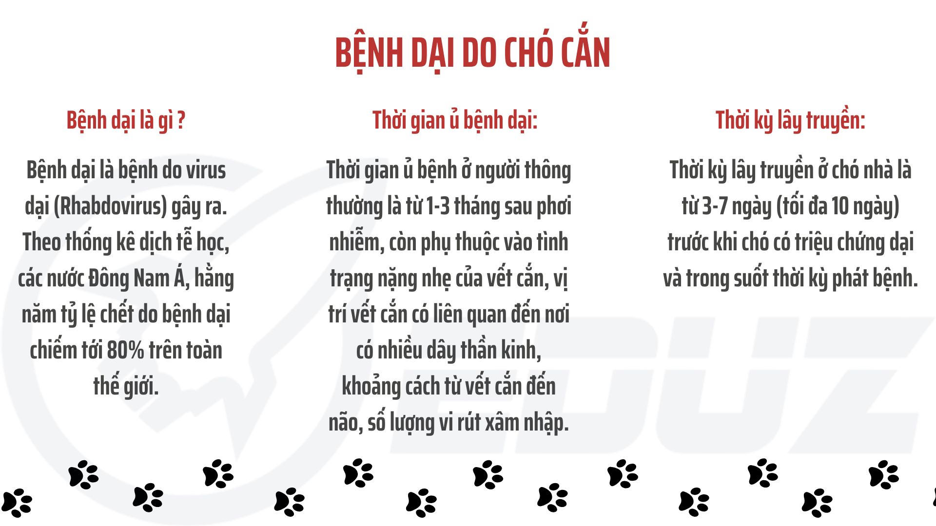 3. Bệnh dại khi chó cắn