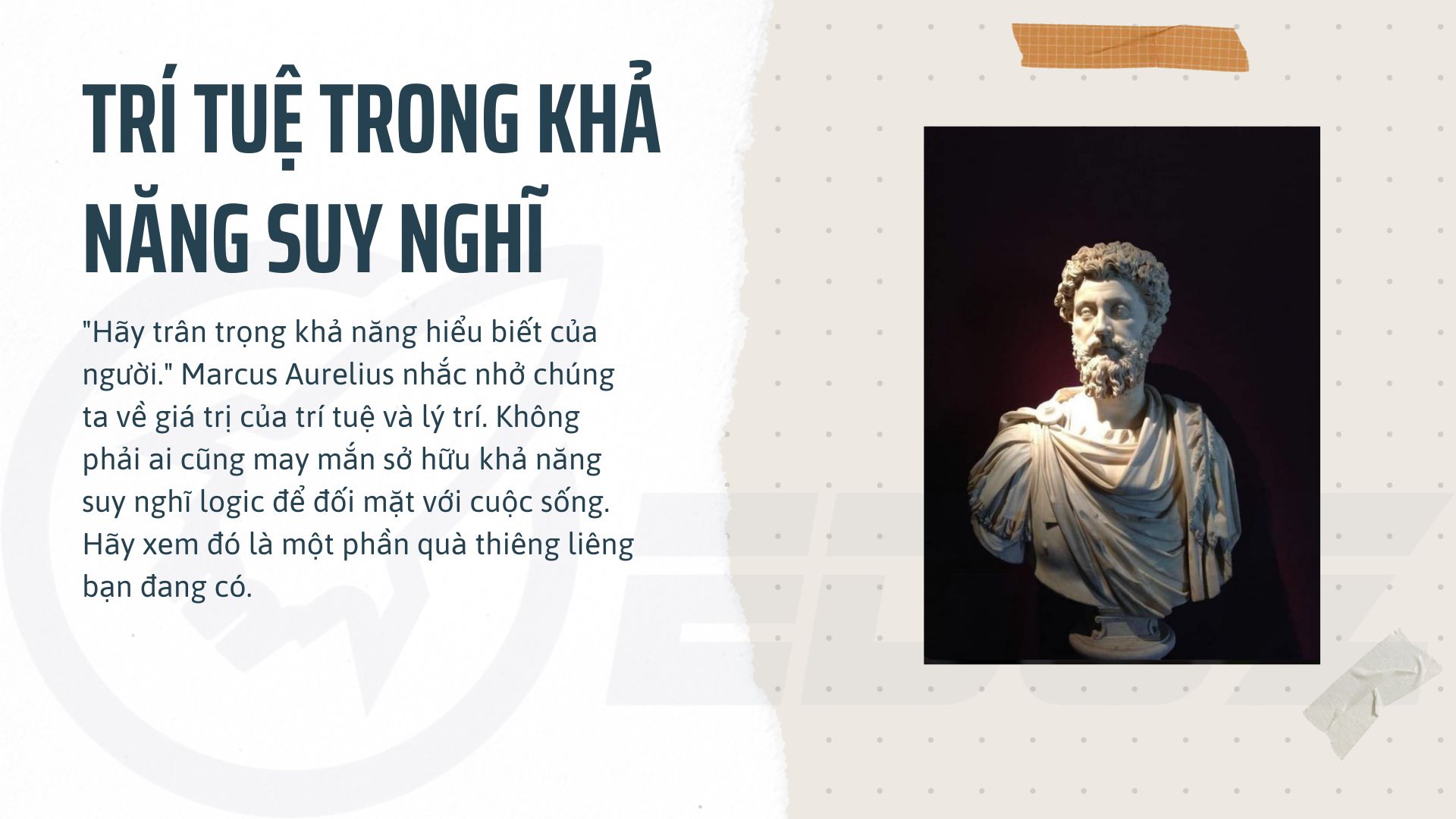 2. Trí tuệ trong khả năng suy nghĩ