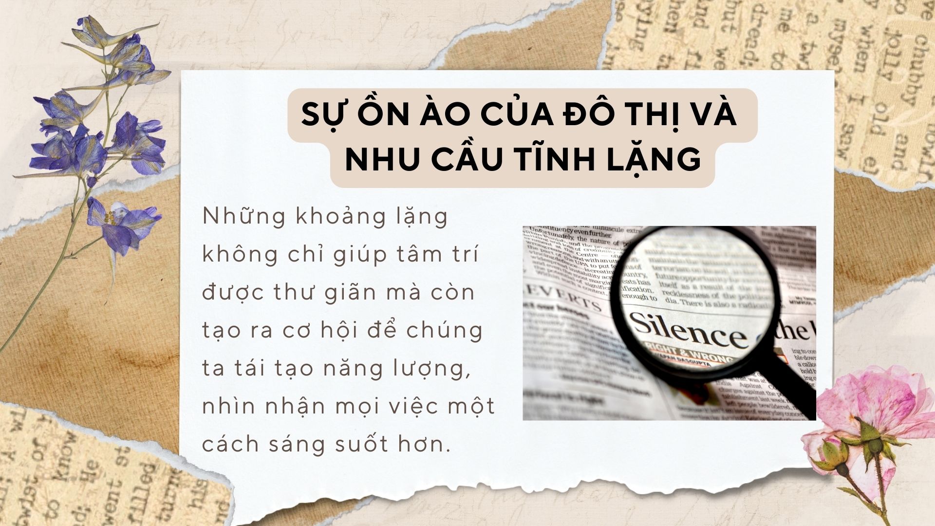 2. Sự ồn ào của đô thị và nhu cầu tĩnh lặng