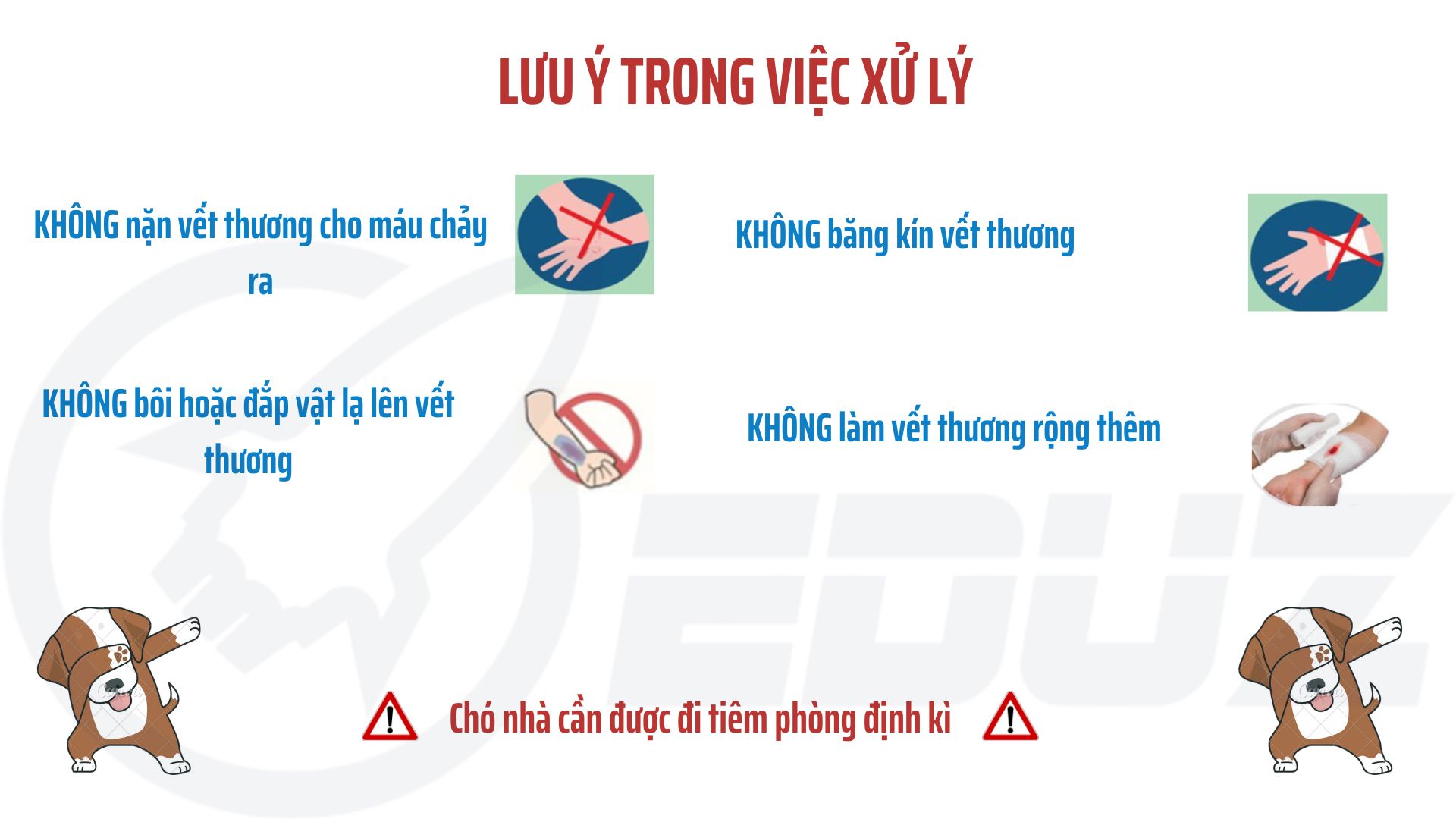 2. Những lưu ý trong việc xử lý
