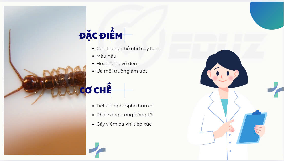 2. Nguyên nhân và đặc điểm