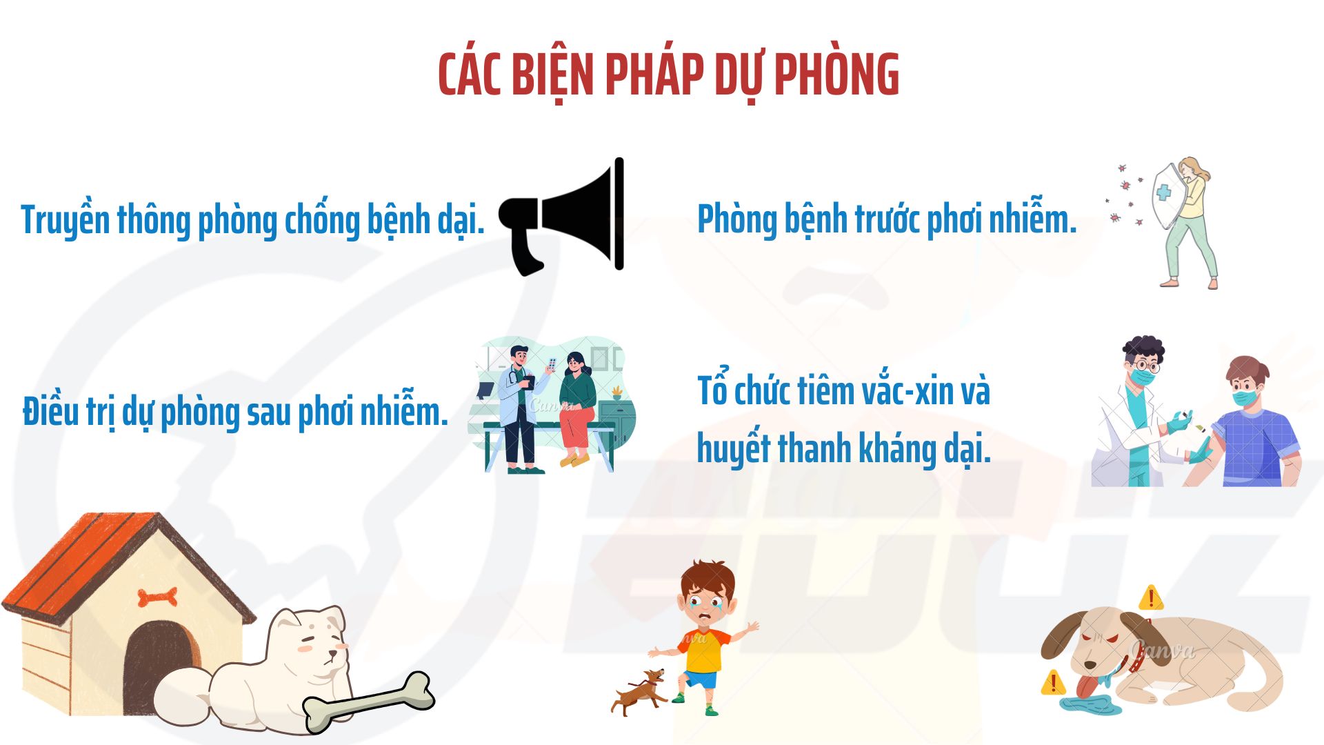 5. Các biện pháp dự phòng