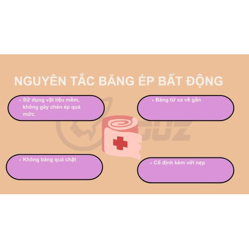 4. Nguyên tắc băng ép bất động