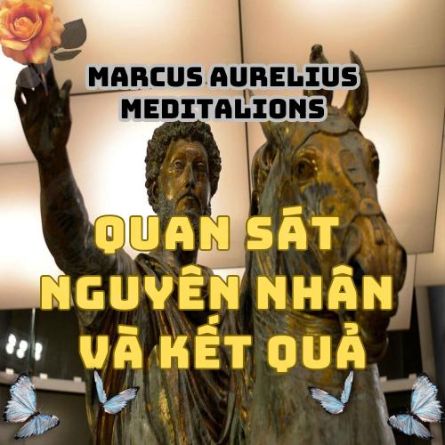 Quan Sát Nguyên Nhân Và Kết Quả