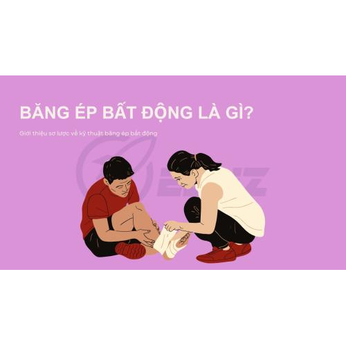 1. Giới Thiệu