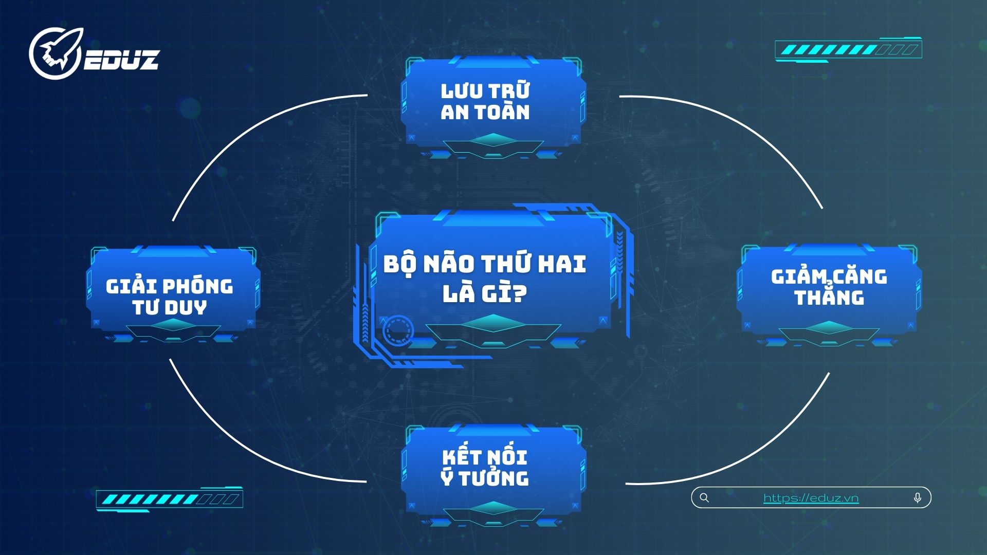 1. Bộ não thứ hai là gì?
