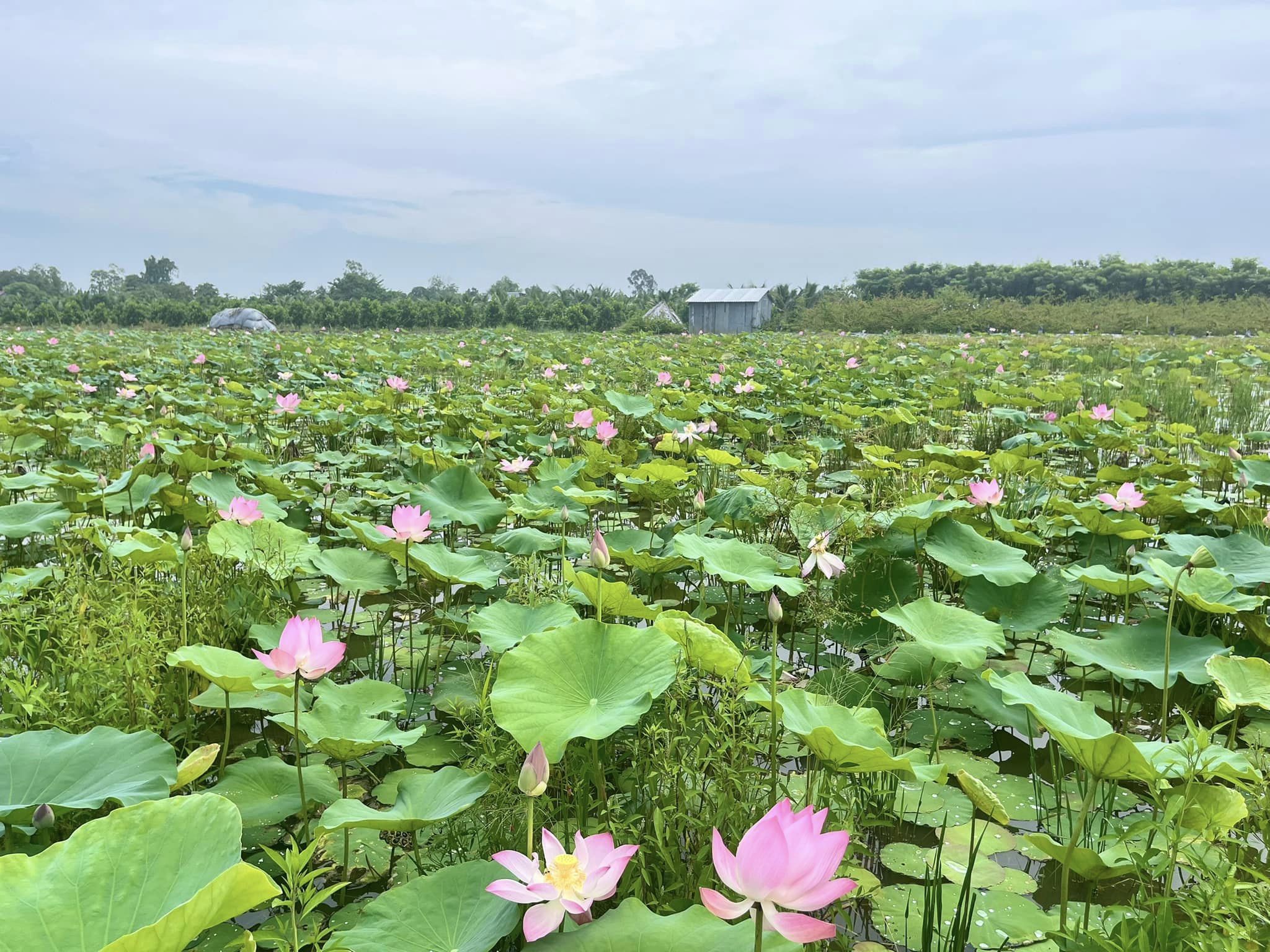 Ưu đãi đặc biệt: