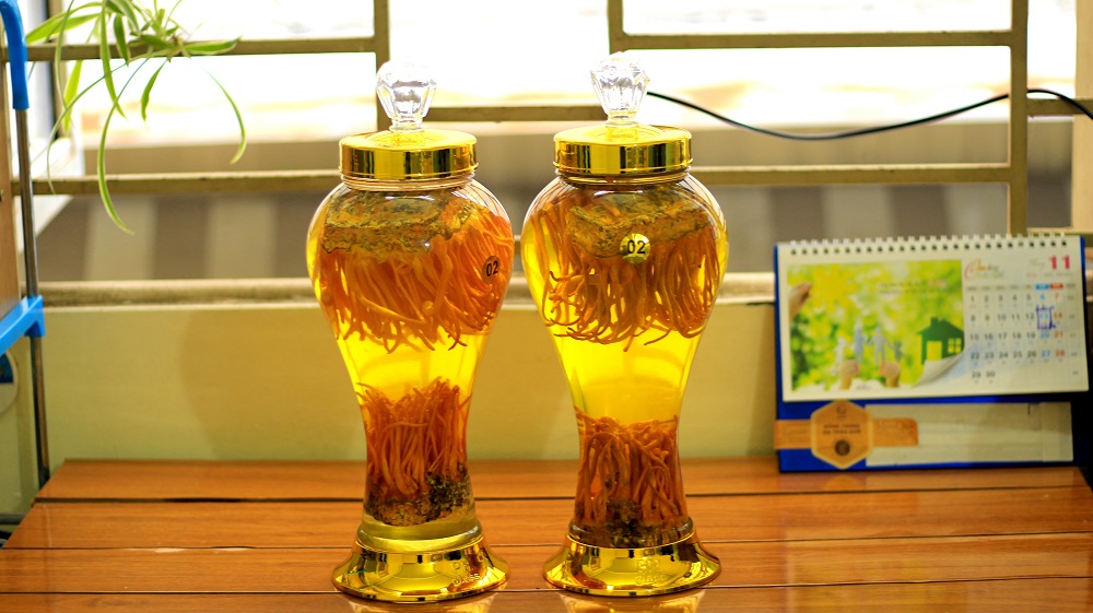 Cách uống Đông trùng hạ thảo tươi ngâm rượu