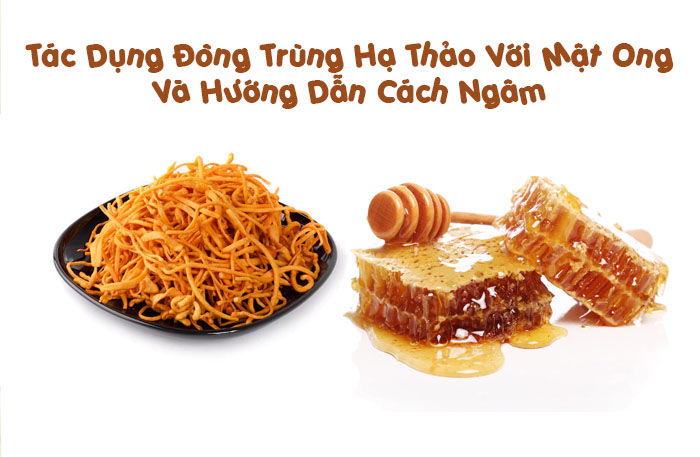 Cách uống Đông trùng hạ thảo tươi ngâm mật ong
