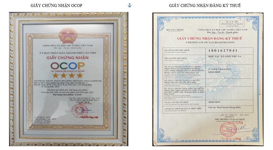 E77c991957H61aB Giấy chứng nhận OCOP